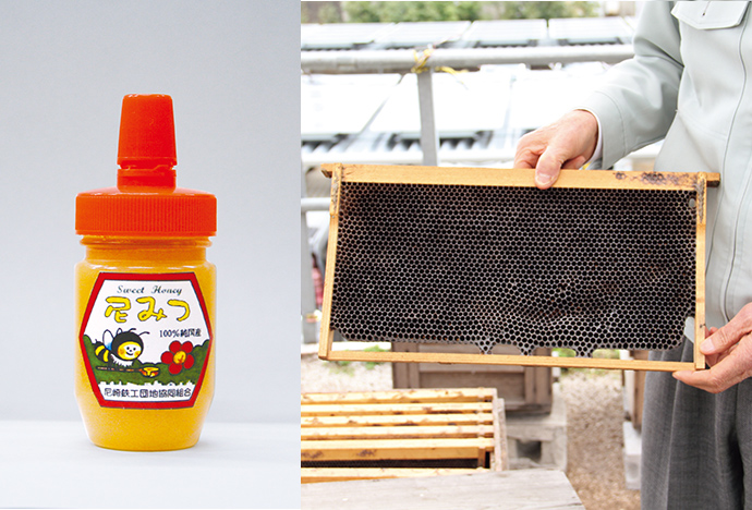 採取した蜂蜜は「尼みつ」として商品化。巣箱は現在9箱。昨年度は約290kgの蜂蜜を採取。